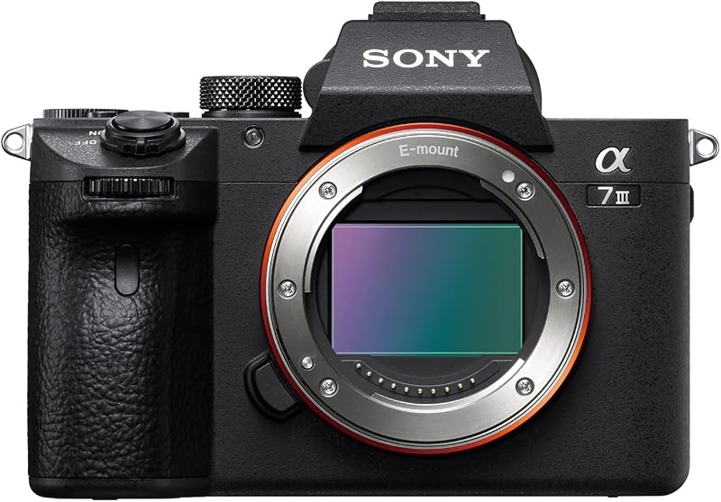 Alpha 7 III Fotocamera full frame con obiettivo 28-70 mm – 24,2 MP, video 4K, autofocus veloce da 0,02 s, scatto continuo da 10 fps, stabilizzazione a 5 assi, ideale per foto e video