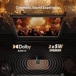 WEMAX Laser Projector, Netflix Officially