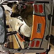 petego stroller kit