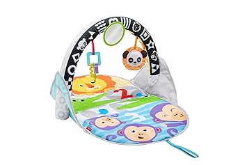 Mattel Fisher-Price FXC14 Fisher-Price Safari Spieldecke to go, Mehrfarbig