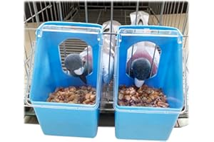 BUAKAW-X Pigeon Feeder Water 2 Pack Drinkers with 2 Hole Pet Bowls & Feeders Eat Food Quail Bird Chicken Feeder Water Dispenser