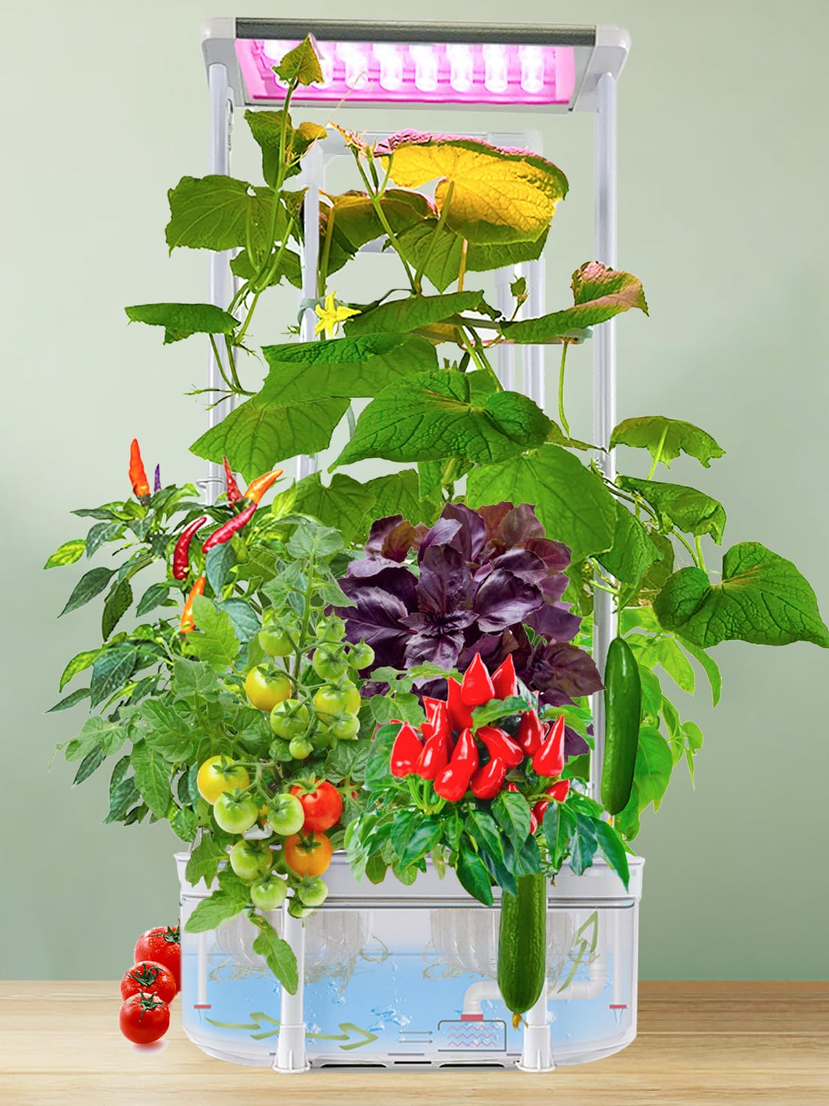 Photo 1 of Hydroponics Growing System kit with Trellis,Smart Hydroponic Gardening System with LED Grow Light, Indoor Hydroponic Garden Herb Grow Kit for Short Tomato,Pepper,Cucumber (6200LC)