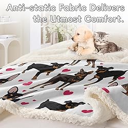 BlessLiving Red Hearts Dog Cat Print Plush Blanket