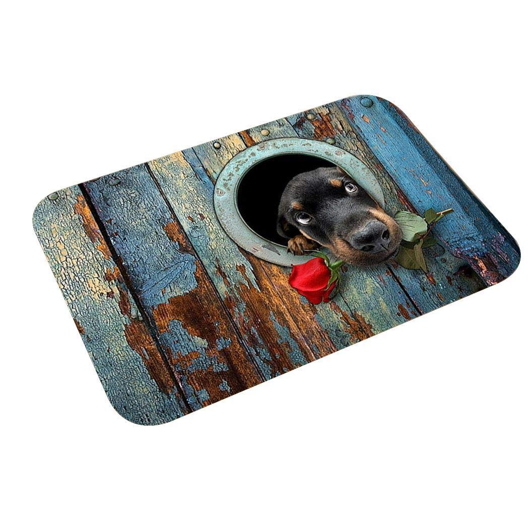 Junio1 Nuevo hogar, baño, Dormitorio, Felpudo, Piso, alfombras Antideslizantes Suaves Alfombras