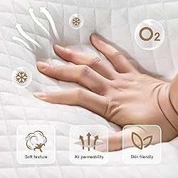 JEEKEA Full Size Mattress, 10 Inch Innerspring