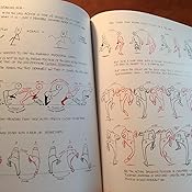 The Animator's Survival Kit: Richard Williams: 9780571202287: Amazon