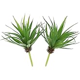 LJY 2 Pieces Realistic Artificial Faux Succulent Yucca Vera Greenhouse Small Plants Unpotted for Home Garden Decoration (Spri