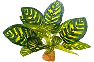 Woyrise Reptile Artificial Plants, Terrarium Decorations Fake Plant with Base, Reptile Amphibian Tank Accessories Habitat Hideout - Prayer Peacock