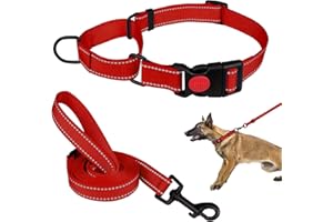 MTLIEPTE Martingale Dog Collar and Leash Set Martingale Collars for Dogs Reflective Martingale Collar for Small Medium Large Dogs(Red&L)