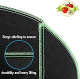 LATERN 6 Pack 5 Gallon Grow Bags, Heavy Duty Nonwoven Fabric Pots view 4