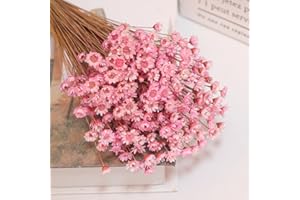 SONGJUM 200 Stems Dried Flowers Brazilian Small Star Daisy Decorative Dried Flowers Mini Daisy Chamomile Bouquet for DIY Home Wedding Decor Gift（Pink）