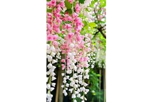 200Pcs Pink White Weeping Jasmine Plant Seeds - Fragrant Perennial Non-GMO Jasmine Flower Seeds for Indoor & Outdoor Planting