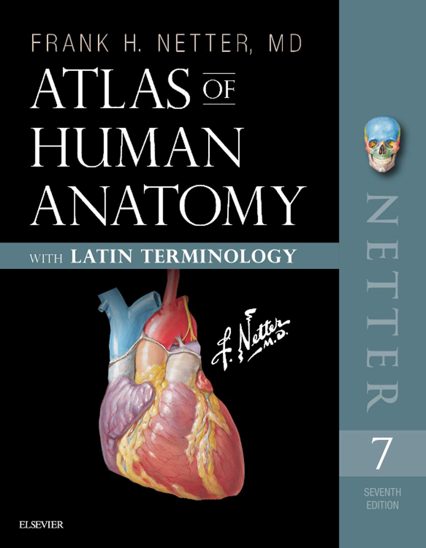 Amazon Com Atlas Of Human Anatomy Latin Terminology E Book English And Latin Edition Netter Basic Science Ebook Netter Frank H Kindle Store