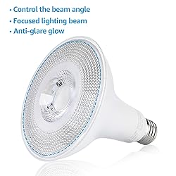 TORCHSTAR PAR38 LED Flood Light Outdoor