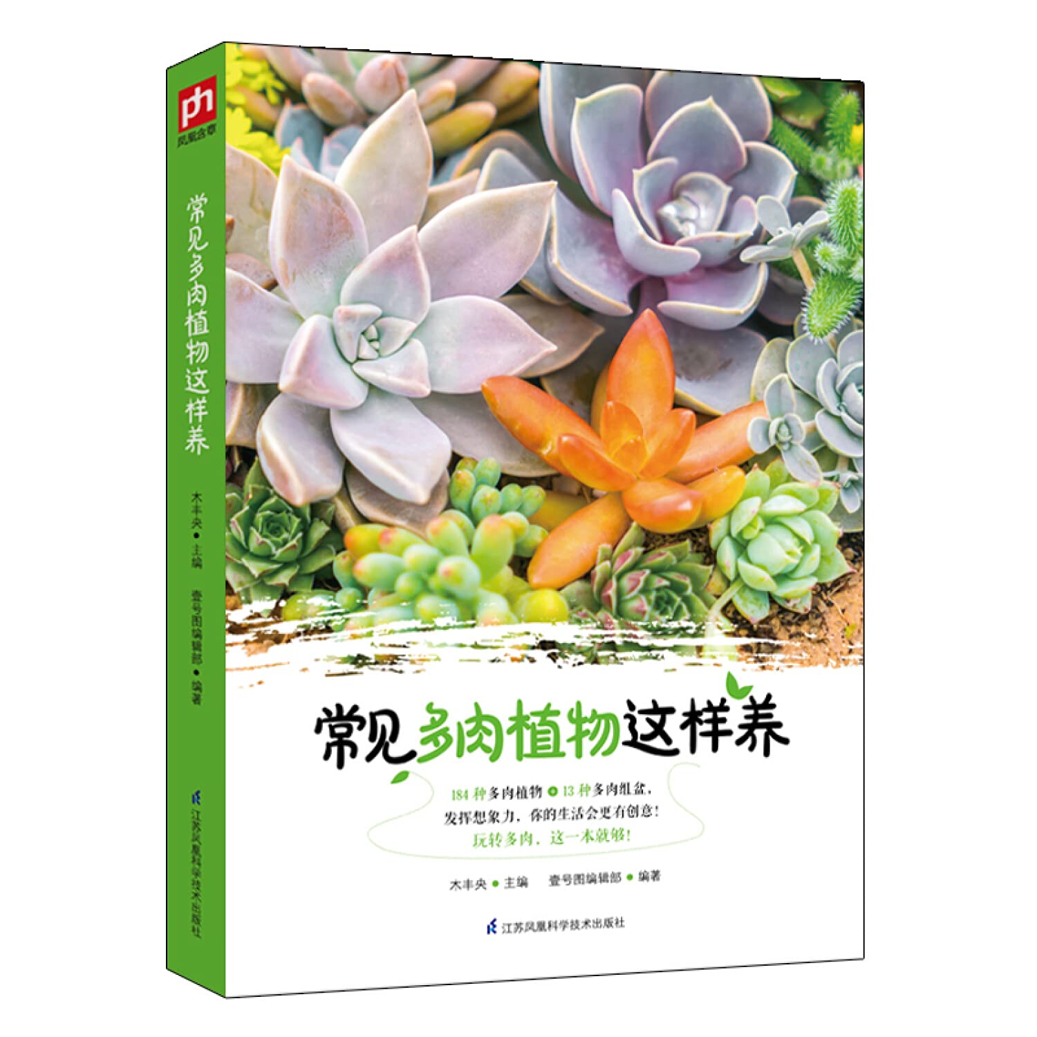 常见多肉植物这样养 木丰央 壹号图编辑部凤凰含章出品 Amazon Com Books
