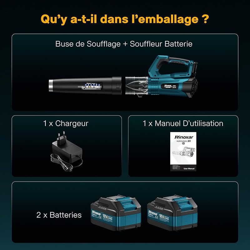 Souffleur Batterie, Moteur Brushless, 2 Batteries 18V/5200mAh et Chargeur