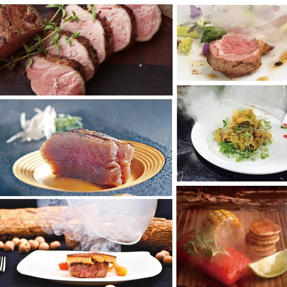 ARINO Smoking Gun Food Smoker Smoke Infuser Gun Meat Smoker Health Portable Smoking Gun for Cooking BBQ etc