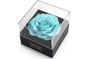 Kylin Glory Fresh Cut Flower Preserved Rose for Women Mom Wife Girlfriend - Flower Gift Real Rose Decor for Mother's Day Valentine's Day Wedding Party Celebration Birthday Anniversary (Bright Blue)