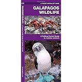 Galapagos Wildlife: A Folding Pocket Guide to Familiar Animals (Pocket Naturalist Guide Series)