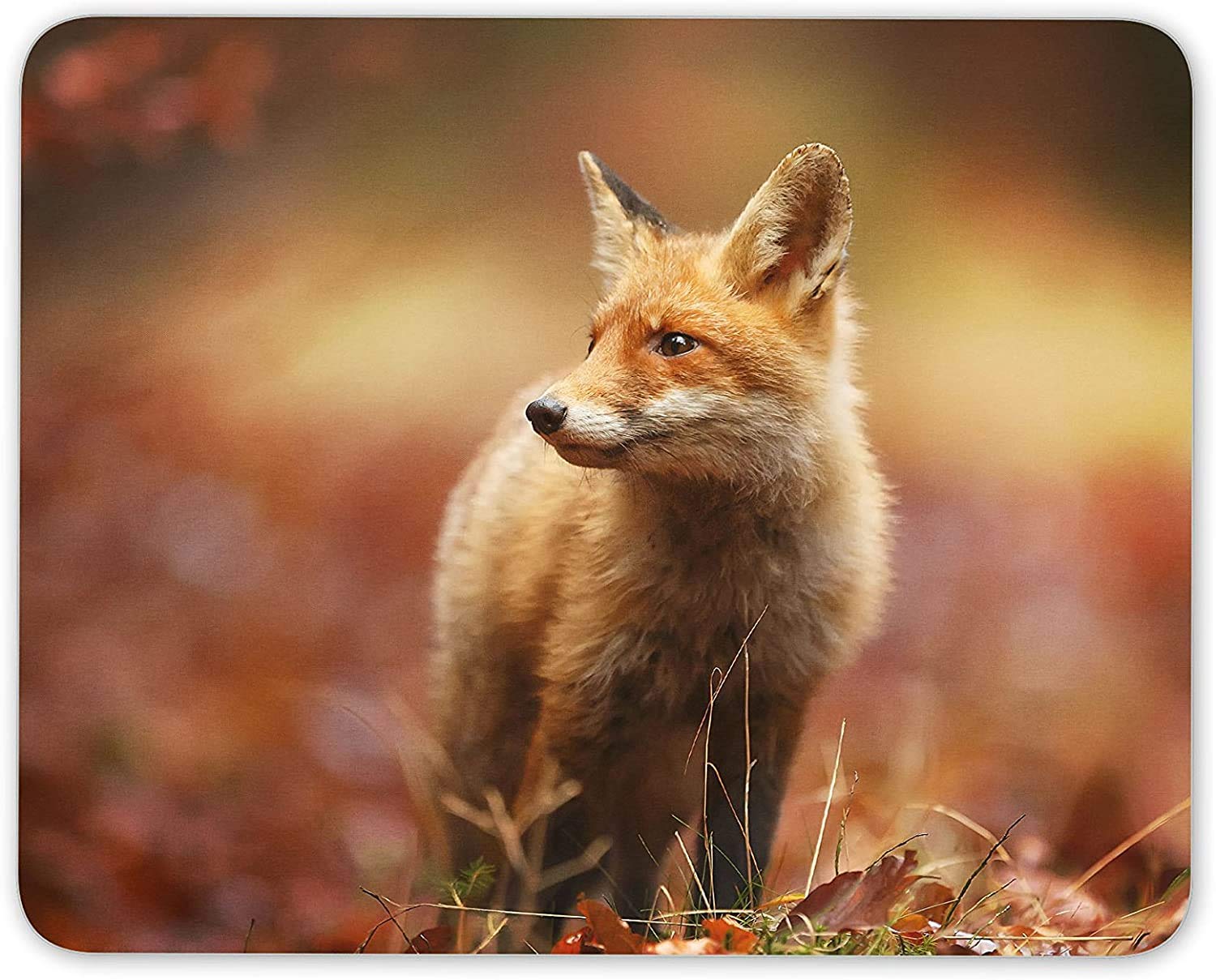 Wild Ginger Fox Mouse Mat Pad Animal Dog Wildlife Computer PC #8116