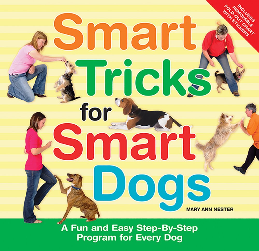 smart dogs dog training