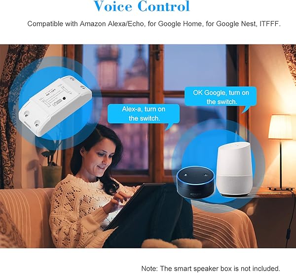 Festnight WiFi Smart Switch Compatible con Amazon Alexa y para Google Home Timer Interruptor Remoto inalmbrico de 10A 2200W para Dispositivos elctricos Universal Smart Home Automation Module