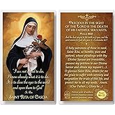 THE SAINTS COLLECTION St. Rita of Cascia Laminated Prayer Cards pack of 20