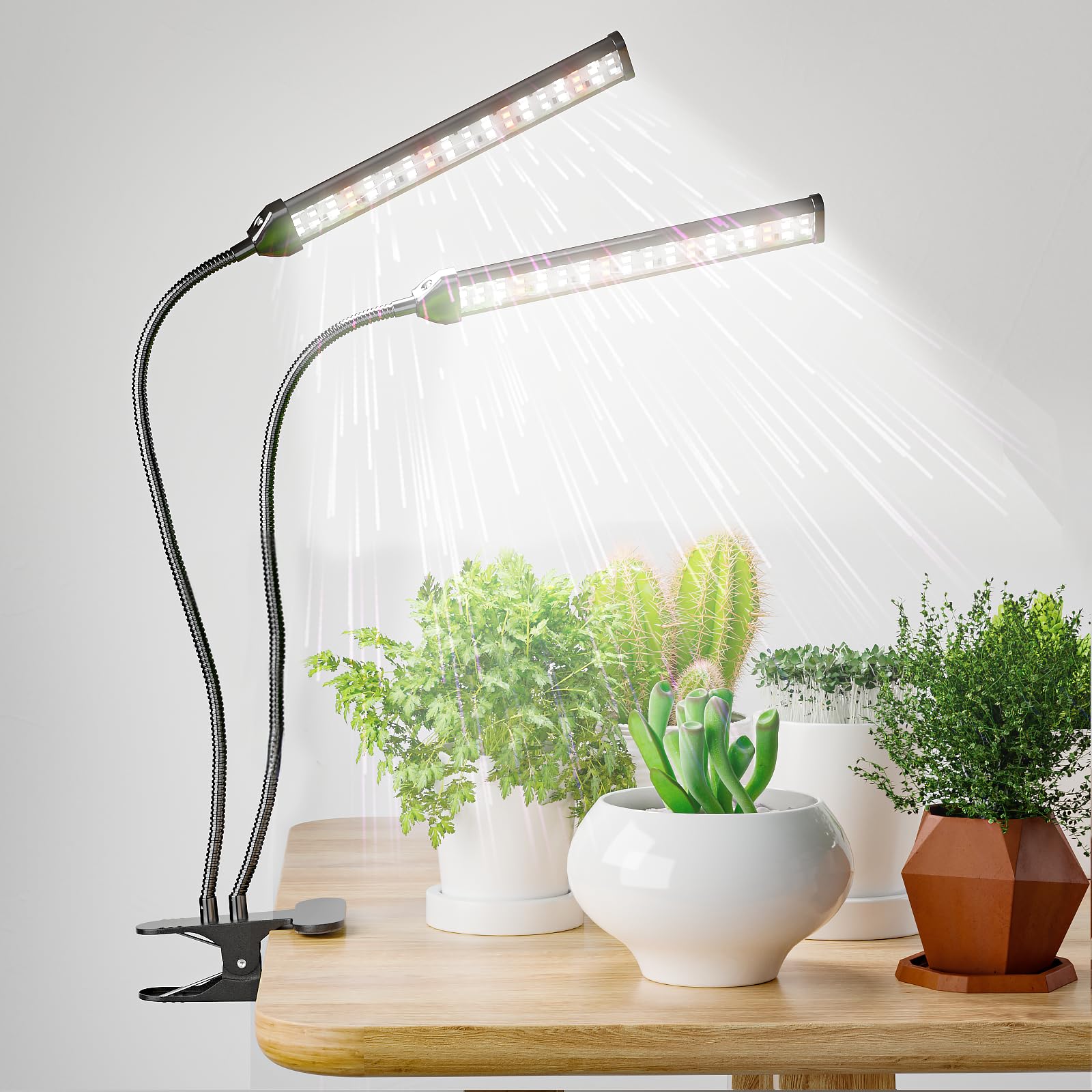 Photo 1 of GooingTop Plant Lights for Indoor Growing,5000K White Full Spectrum Gooseneck Grow Lamp Clip-on Desk for Pot Plant Seed Starting,Dimmable with Auto Timer