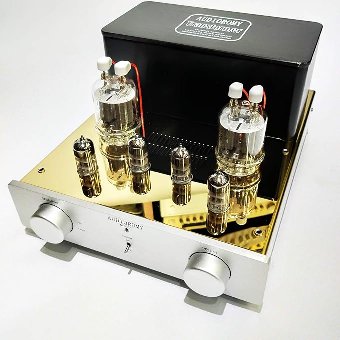 AUDIOROMY Hiend Tube Integrated Amplifier FU29 x 2 Vacuum