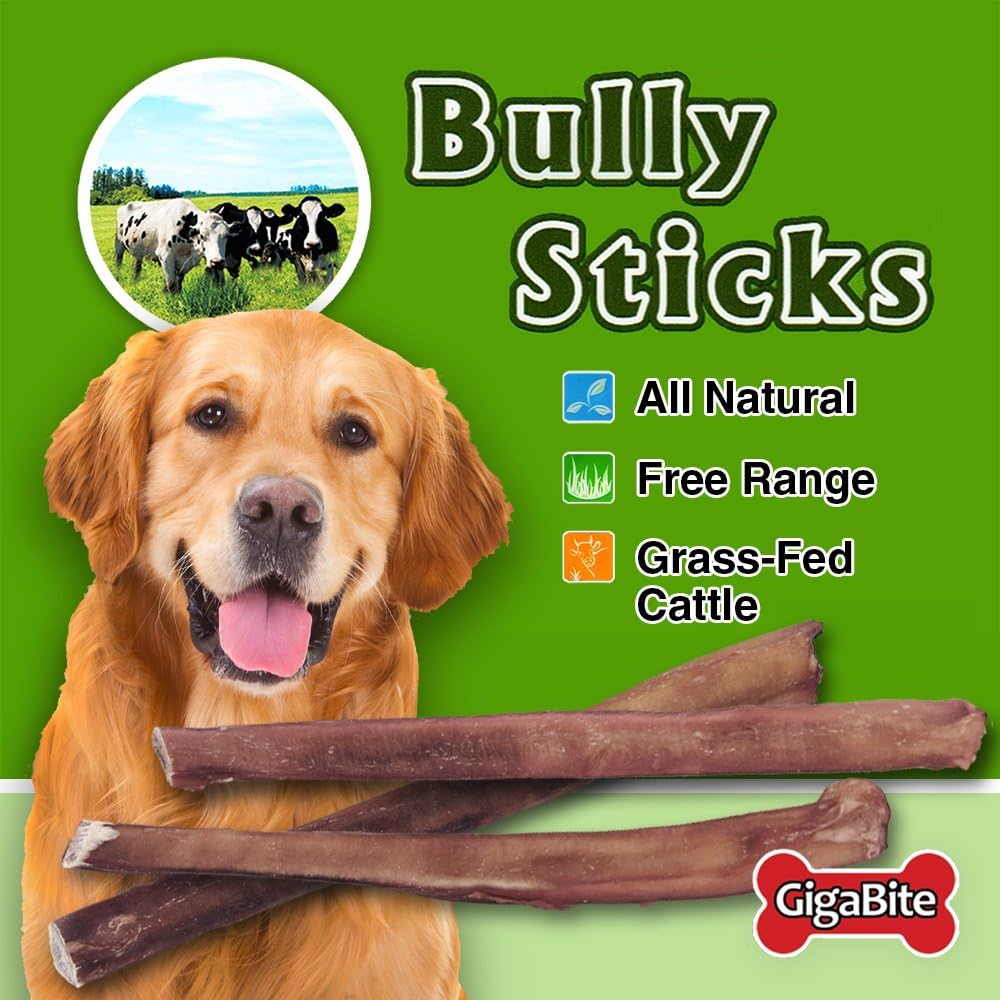 gigabite bully sticks