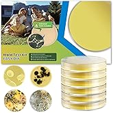 Mold Test Kit for Home - DIY Mold Test Kit for Indoor Air and Household Surface Detection, Includes Detailed Mold Identificat