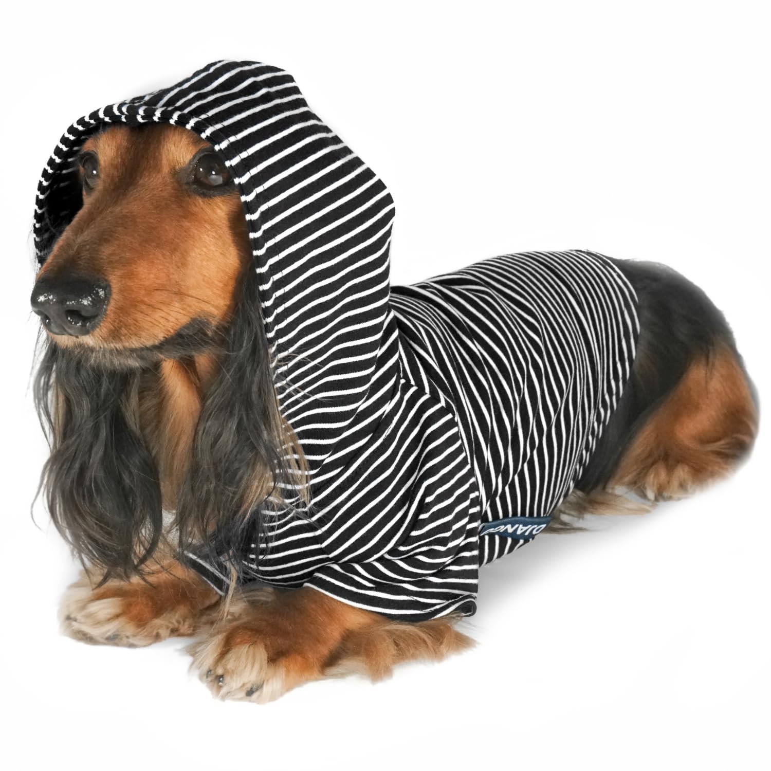DJANGO Dog Hoodie - Soft, Stretchy, & Cozy Sweatshirts for Dogs - Black Winter Dog Sweaters for Dachshunds and Small Dogs - Machine Washable Hoodie for Dogs with Elastic Waistband and Harness Hole