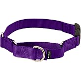 PetSafe Martingale Quick-Snap Dog Collar, Deep Purple, 3/4 in, Medium | Tightens When Dog Pulls, Loosens When Calm for a Secure, Escape-Resistant Fit, Durable Nylon, Quick-Snap Buckle