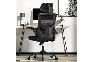 Ergonomic Office Chair, High Back Mesh Desk Chair with Thick Molded Foam Cushion, Coat Hanger, Adjustable Headrest, Lumbar Su
