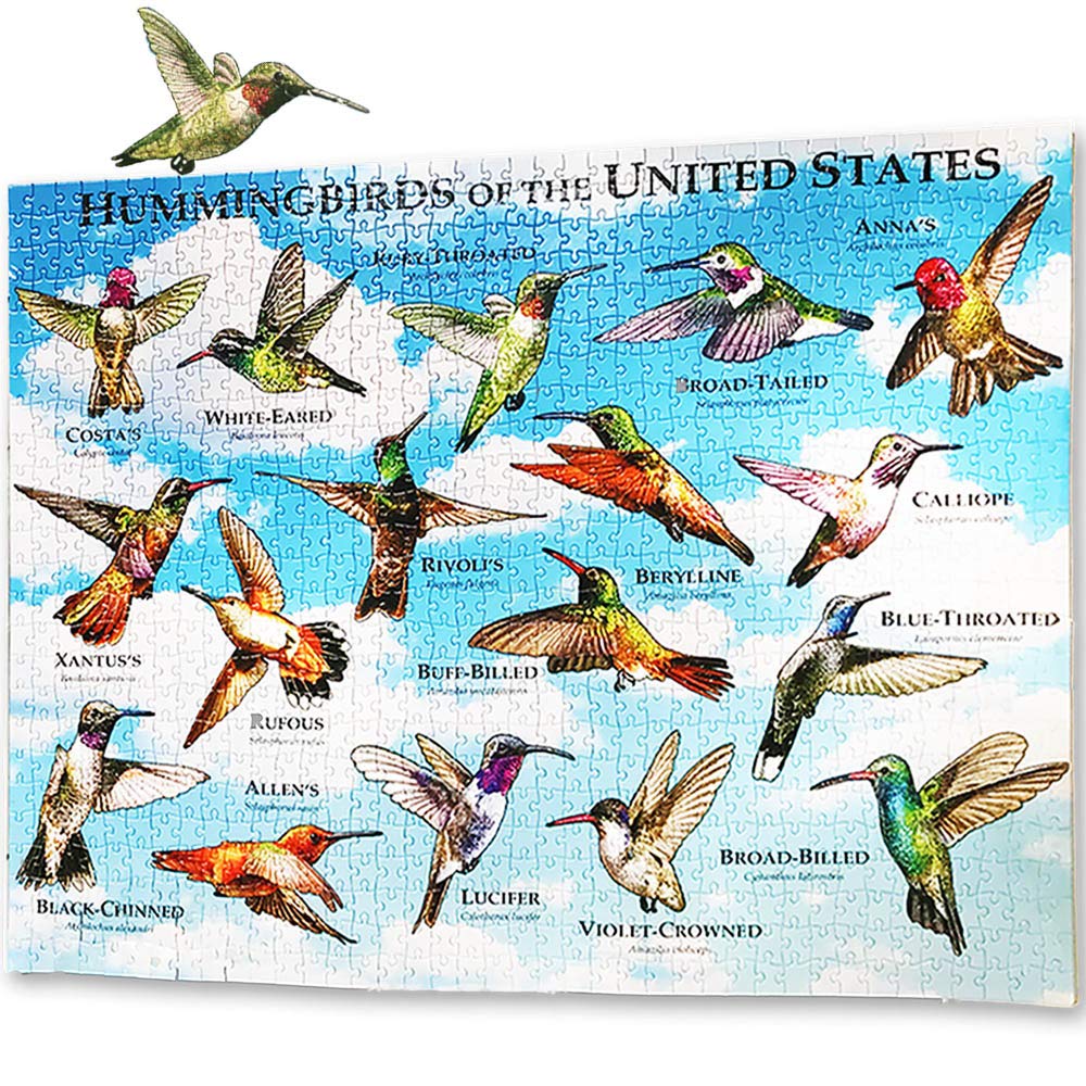 1000 Piece Puzzle Birds for Adults Hummingbirds Jigsaw Puzzle for Bird Lovers Puzzle Lovers United States USA American Hummingbird Collage Puzzle Poster