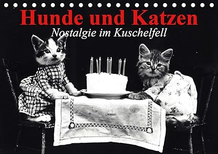 Hunde Und Katzen Nostalgie Im Kuschelfell Tischkalender