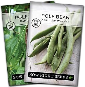 Sow Right Seeds - Pole Bean Seed Collection for Planting - Individual Packets Kentucky Wonder and Rattlesnake Pole Bean, Non-GMO Heirloom Seeds to Plant an Outdoor Home Vegetable Garden