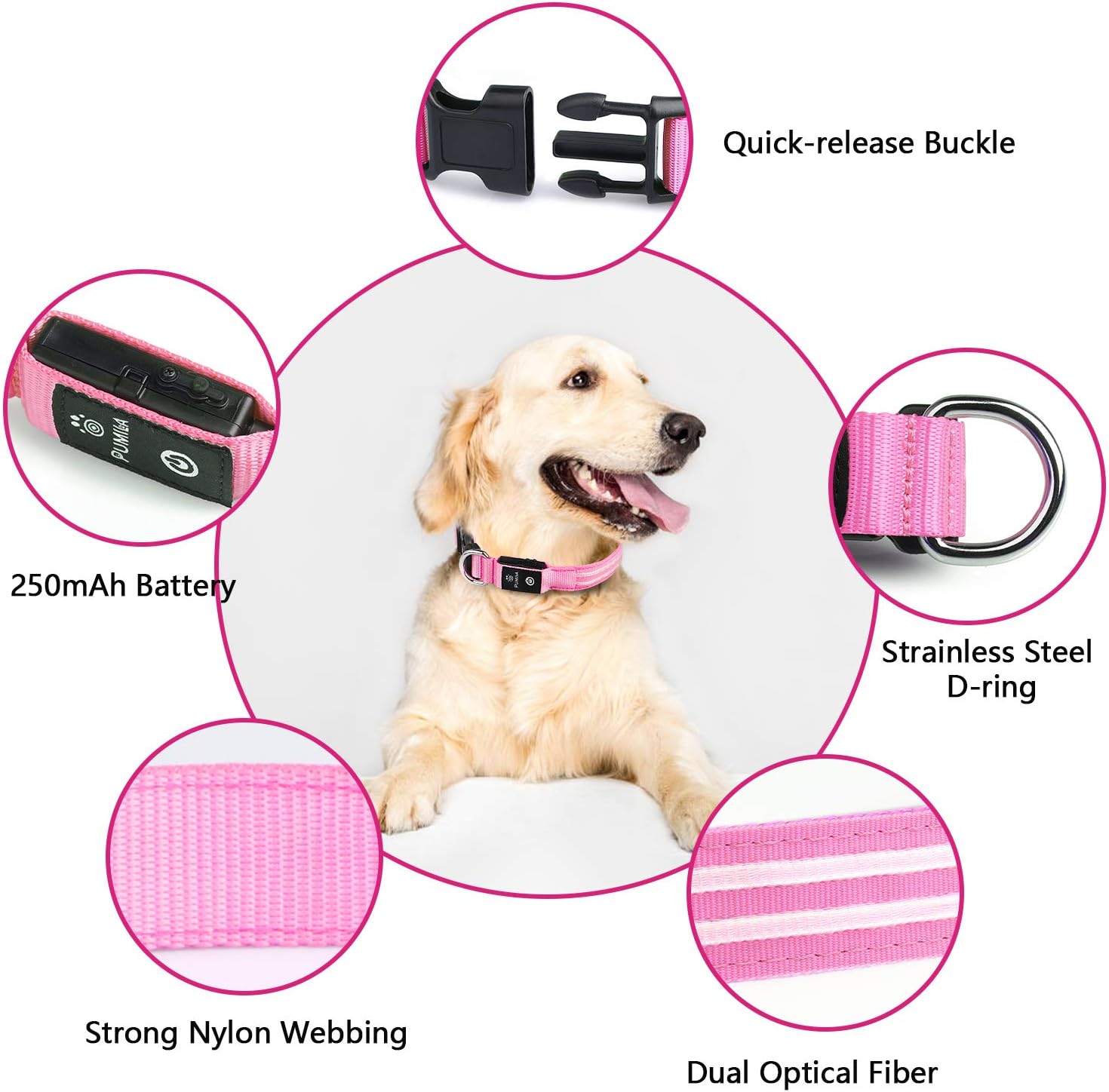 PcEoTllar Light Up Dog Collar, Rechargeable, Waterproof, Adjustable LED Collar for Night, Flashing - Image 5
