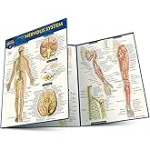 Anatomy of the Nervous System: a QuickStudy Laminated Reference Guide