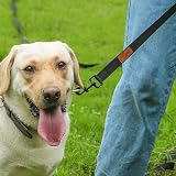 Looxmeer 30m Nylon Dog Training Lead Long Line for Large Medium Dogs view 2