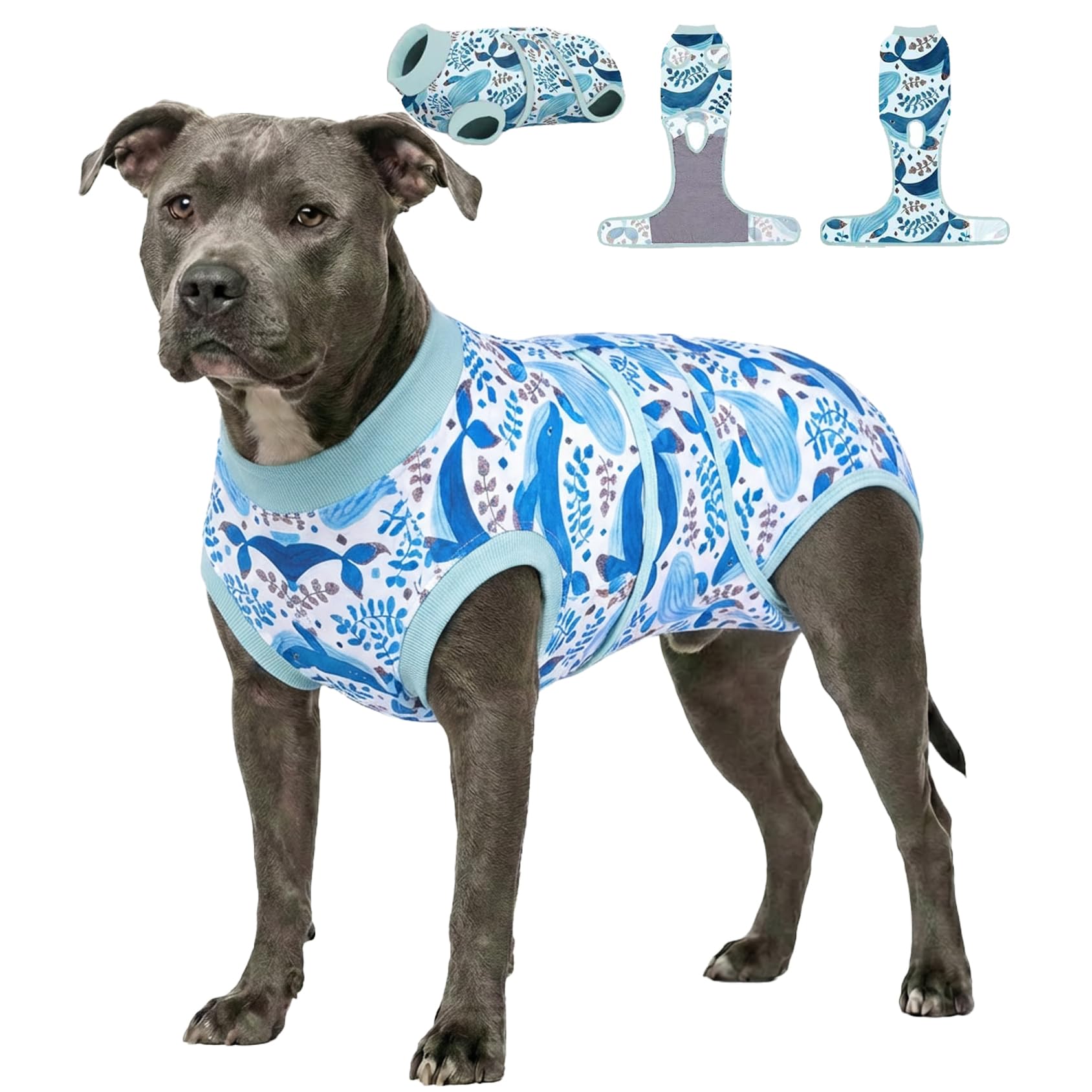 PetWarm Dog Recovery Suit After Surgery, Cone of Shame Alternatives, Anti-Licking Pet Surgical Recovery Pajamas Dog Onesie for Spay Neuter, Marine Animal Patterns, Blue, 2XL