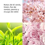 Elizabeth Arden Green Tea Cherry Blossom Body Mist Spray 236ml New view 6