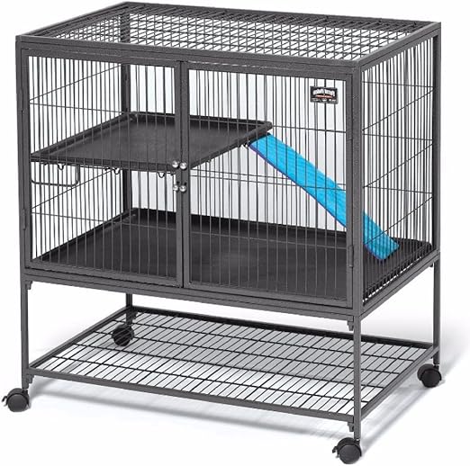 guinea pig habitat cage