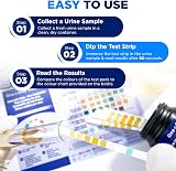 One Step 10 Parameter Urinalysis Dipstick Test 100 Strips + 30ml Pot view 6