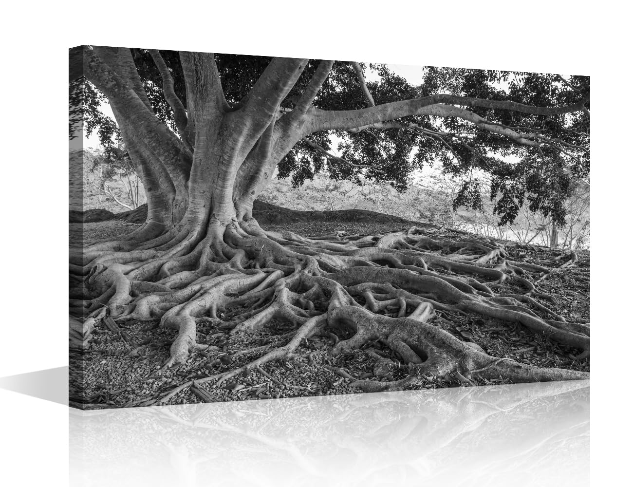 Black and White Canvas Wall Art for Bedroom Big Tree Root Wall Paintings for Living Room Natural Landscape Office Modern Wall Art Pictures Print On Canvas Giclee Framed Ready to Hang, 24x16in