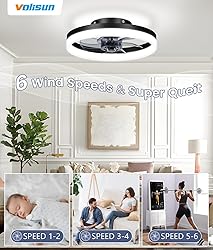 VOLISUN 13 inch Small Ceiling Fans with Lights and