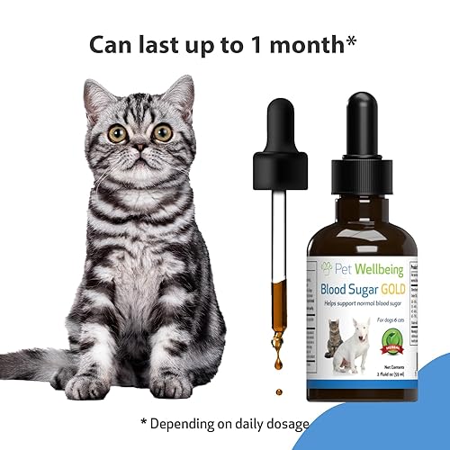 Pet Wellbeing Blood Sugar Gold for Cats Natural Support for
