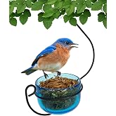Backyard Essentials Ornate Glass Bowl Hanging Bird Feeder for Bluebirds | Hangs from a Hook or Branch - Holds Mealworms, Jelly, Fruit or Suet - Ornate Glass Dish Accent for Gardens, Porches, Patios
