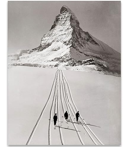 Double Black Diamond Ski Tin Sign - 20x30cm Metal Wall Art For Bar, Cafe, Or Ski Shop