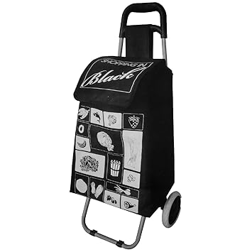 Carro de la compra de 25 L, aislado, Bolsa nevera con ruedas ...